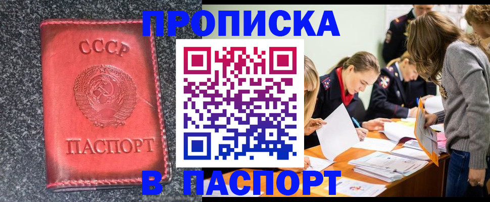 прописка для школы в Лесозаводске
